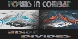 Forms In Combat – Inside Divides Cover